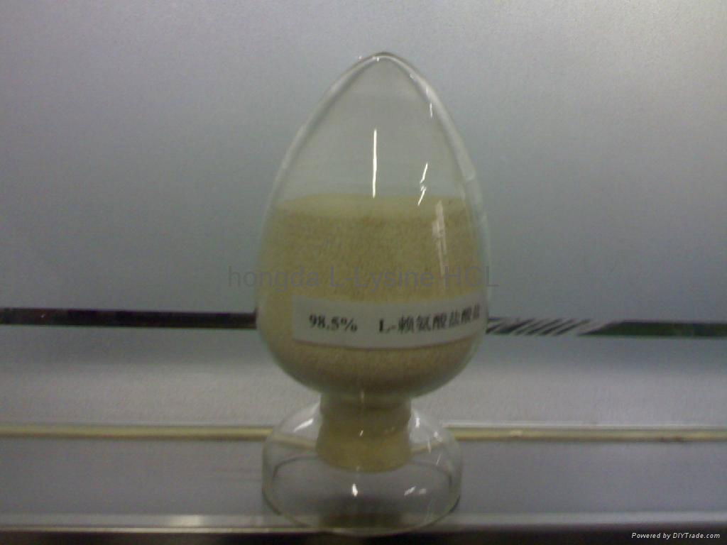 L-Lysine HCL 98.5% - hongda L-Lysine HCL 9