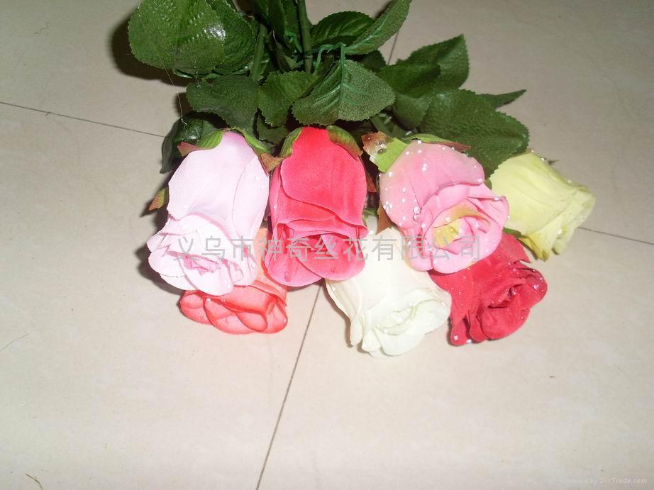 露水玫瑰花圣诞花,盆景,非洲菊,马蹄莲天堂鸟 -