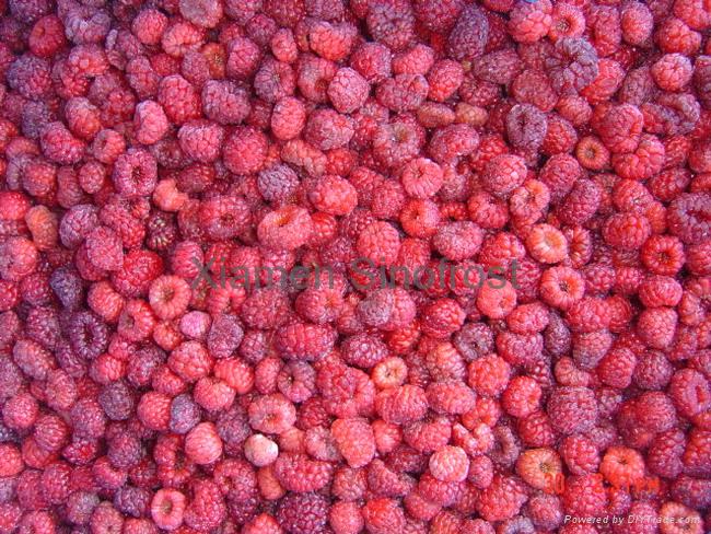 冷冻树莓,速冻树莓 - SFFB-raspberrie (中国 福