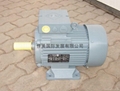 德國 vem 電機/馬達