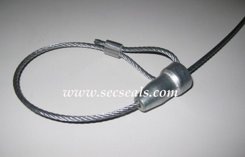 Cable Seals