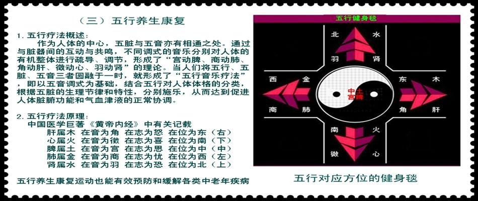 中老年广场舞游戏健身机 - HB6233 - 海豹 (中国