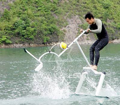 Water Bird/Aquaskipper - WATER BIRD (China Manufacturer) - Water ... Water Bird/Aquaskipper - WATER BIRD (China Manufacturer) - Water ...