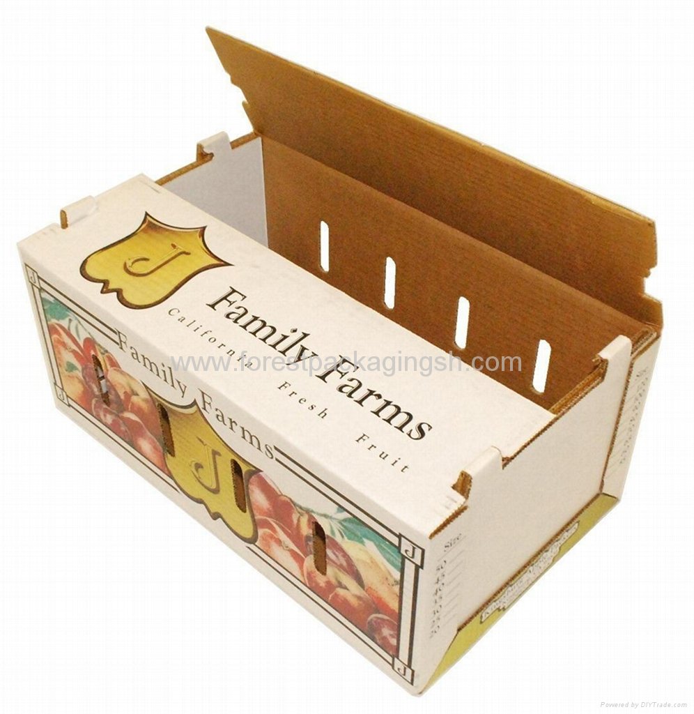 fruit carton box