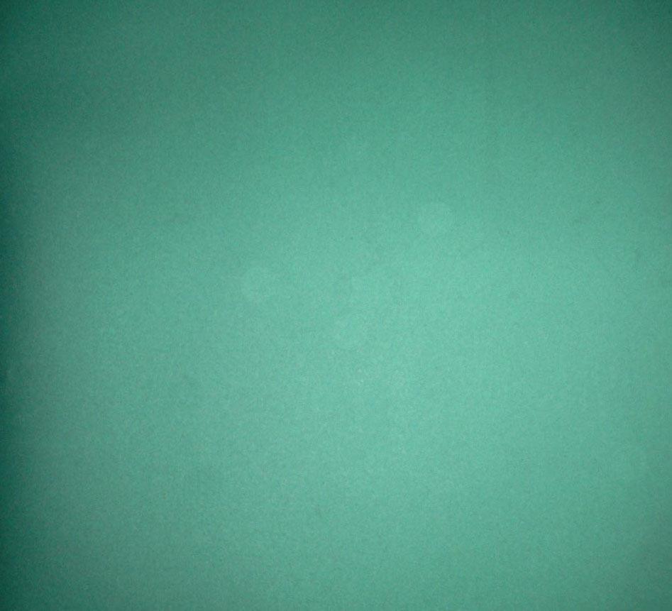 磁极观察片 - 50*50 - TMG (中国 四川省 生产商