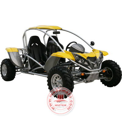 EEC/EPA Hot design 250cc Go Kart, Go Cart WZGC2507