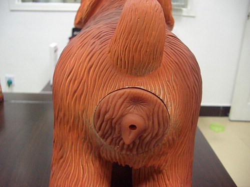 Dog_Sex_Toy_BLDG01.jpg