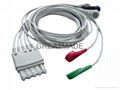 HP M1664A  5-lead  AHA  Snap  leadwire   