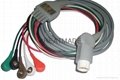 HP one -piece ５-lead AHA ,  cable with Snap leadwires 