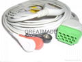 GE- Marquette one piece cable with 5-lead IEC Snap Leadwires 