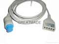 Datex 5-Lead Trunk Cable 