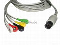 One piece cable with 5-lead ,IEC , Snap Leadwires, Straight connector 