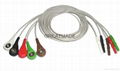 DIN Type 5-Lead AHA Leadwires 