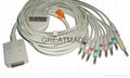 Burdick EK-10  EKG cable with leadwires (4.0 Banana )