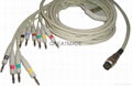 Petas  EKG Multi-Link Leadwires , 4.0 Banana 