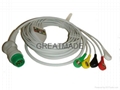 Siemens one piece 5-lead IEC cable with 