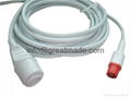 Siemens -Edwards  IBP Cable 