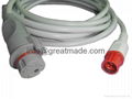 Siemens －BD  IBP Cable 