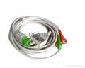 Fukuda integrated cable with 3-lead snap leadwires  