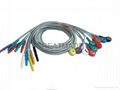 Holter 10-lead DIN1.5 leadwire 