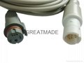 Drager -BD IBP transducer  adapter cable 