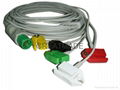 HELLIGE integrated cable with 5-lead IEC grabber leadwires   