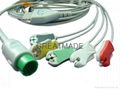 Spacelab one piece cable with 5-lead IEC grabber leadwires 