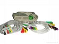 Fukuda Multi-link ECG trunk cable with its leadwires 