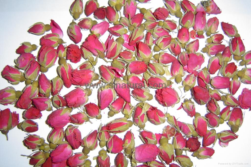 玫瑰花 - SLZYC-031 - 如一佳 (中国 山东省 贸易