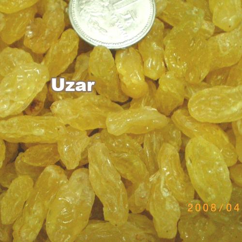 Golden Raisin - Uzar - Uzar (China Manufacture