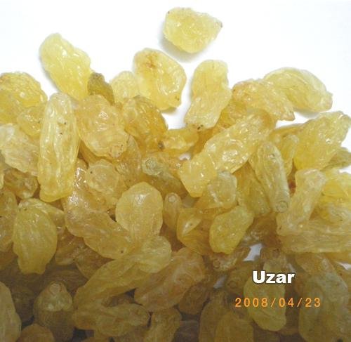 Golden Raisin - Uzar - Uzar (China Manufacture