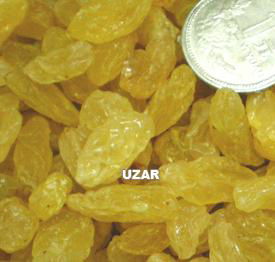 Golden Raisin - Uzar - Uzar (China Manufacture