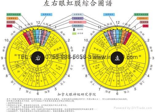 Iridology Eye Chart