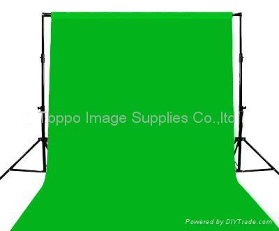 Fashion Forum Pittsburgh on For Rent Pittsburgh Pa Fun Powerpoint Backdrops For Fashion