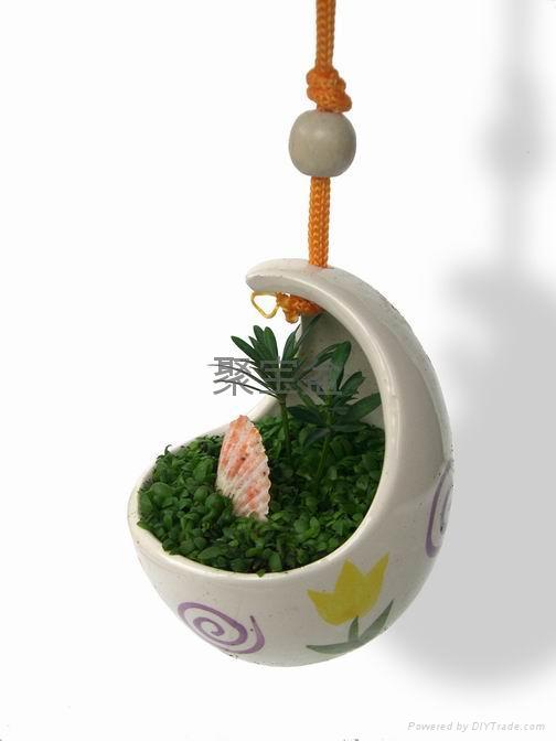 吊盆小森林 - 聚宝盆 (中国 广东省 生产商) - 花卉