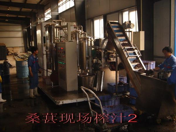 蓝莓果汁生产线 - kxj-02-1 - sunbow (中国 生产