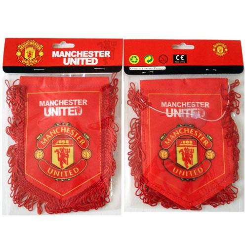 Soccer Pennant