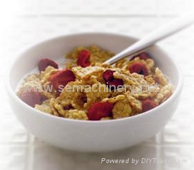 谷物片粥生产线 - DSDS series - 赛信机械 (中国