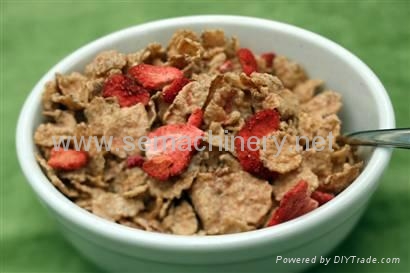 谷物片粥生产线 - DSDS series - 赛信机械 (中国