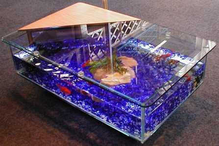 fish tank coffee table. Coffee Table Aquarium