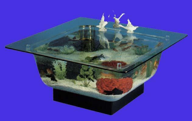 Coffee Table Aquarium 4