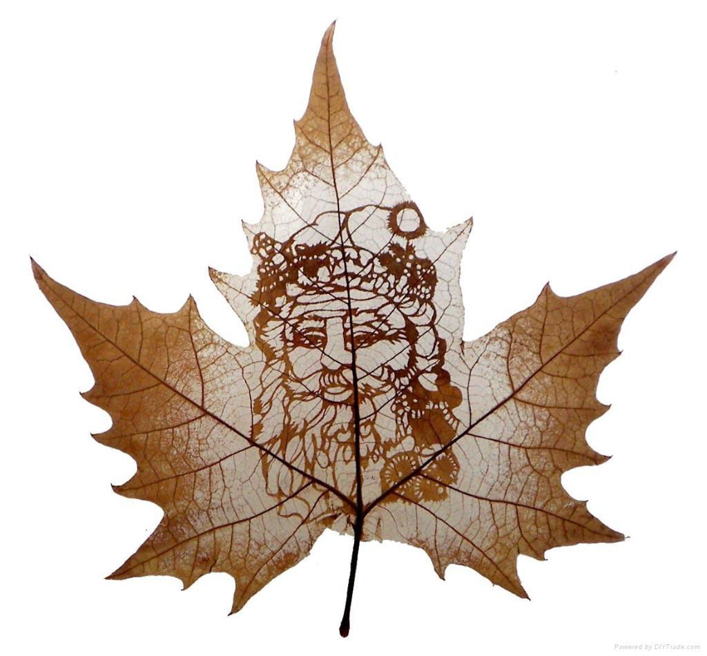 Leaf Carving