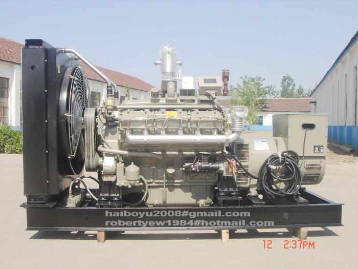 Biogas Generator