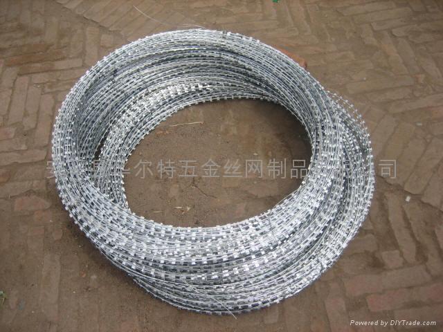 razor wire mesh