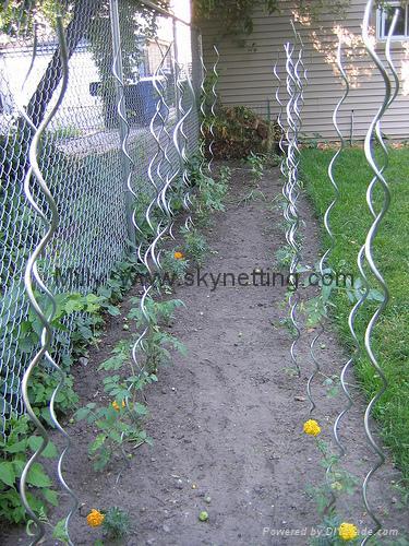 Tomato Wire