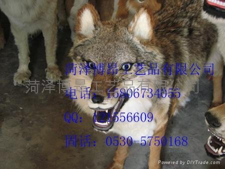 仿真扑虎和野狼 - Q - 博昂 (中国 山东省 生产商