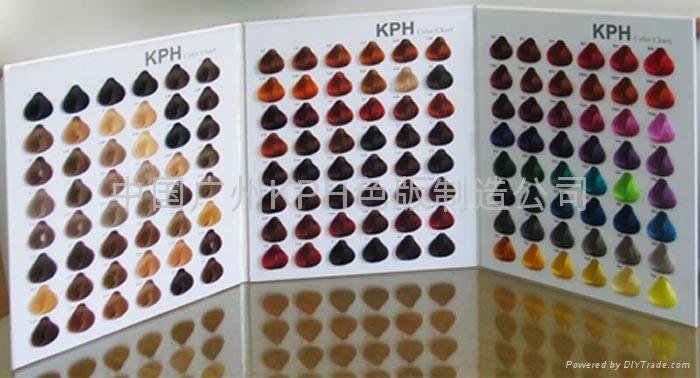 hair color swatch book