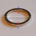 Neodymium iron boron (NdFeb) magnet
