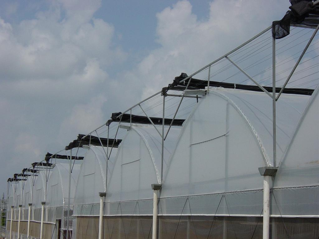 Greenhouse Film  greenhouse grade plastic