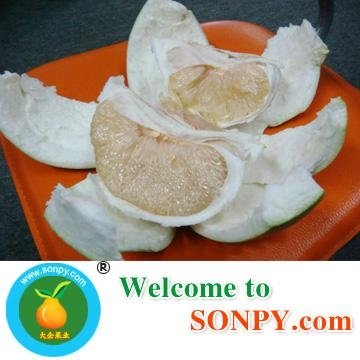 Chinese Pomelo